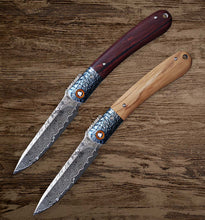 Load image into Gallery viewer, J5 Western Pocket Knife: Pretty Nic