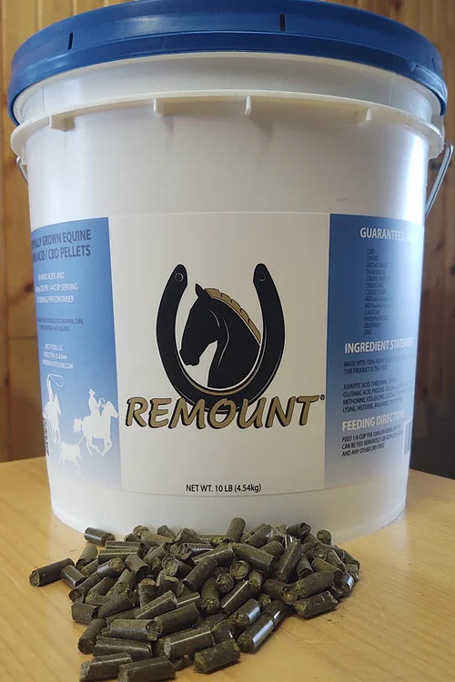 REMOUNT EQUINE AMINO ACID CBD PELLETS